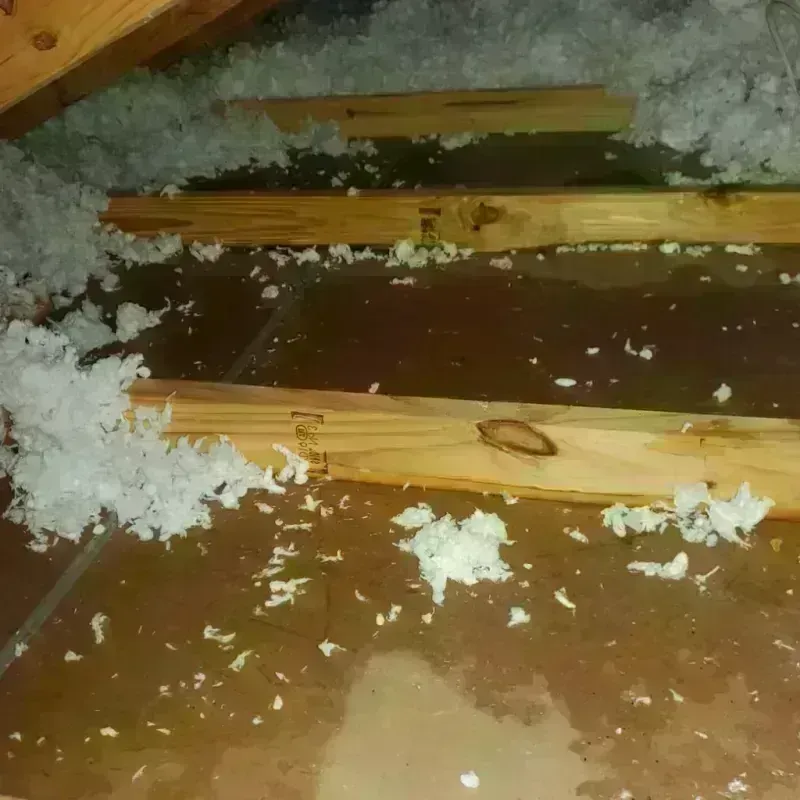 Attic Water Damage in Elizabeth, WV