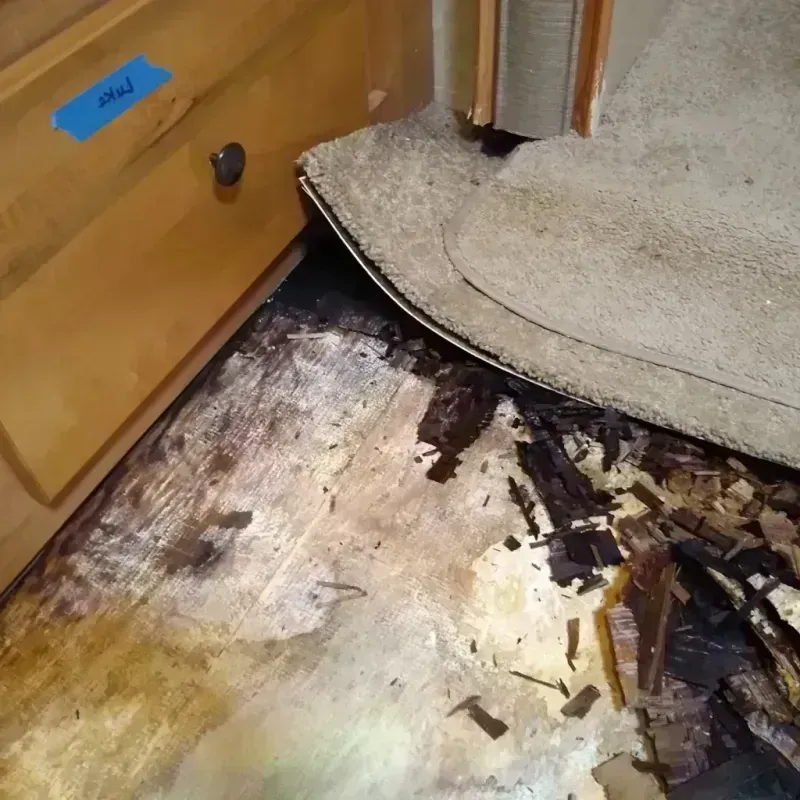 Wood Floor Water Damage in Elizabeth, WV